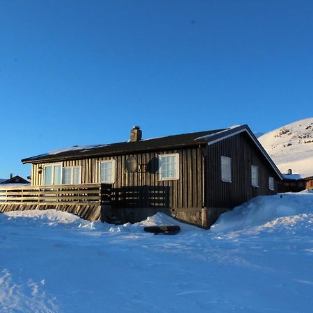 Kjoniksbu - 3 Bedroom Cabin Ål Esterno foto